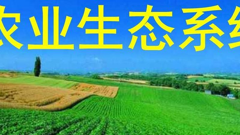 成都农资批发加盟条件