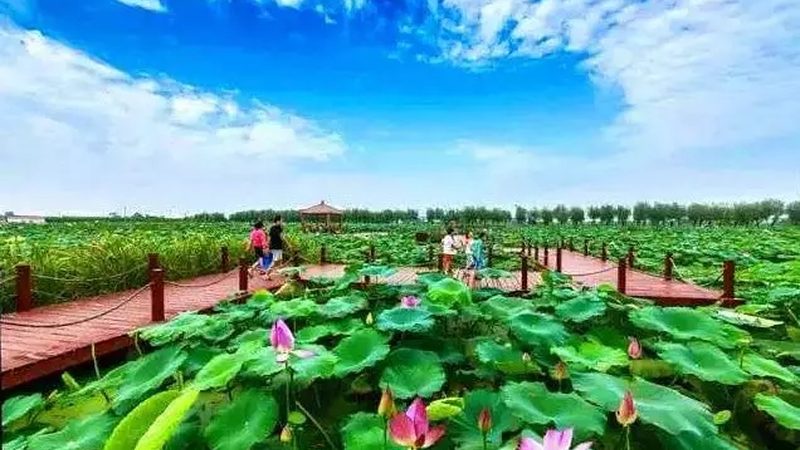成都农业合作社与家庭农场区别