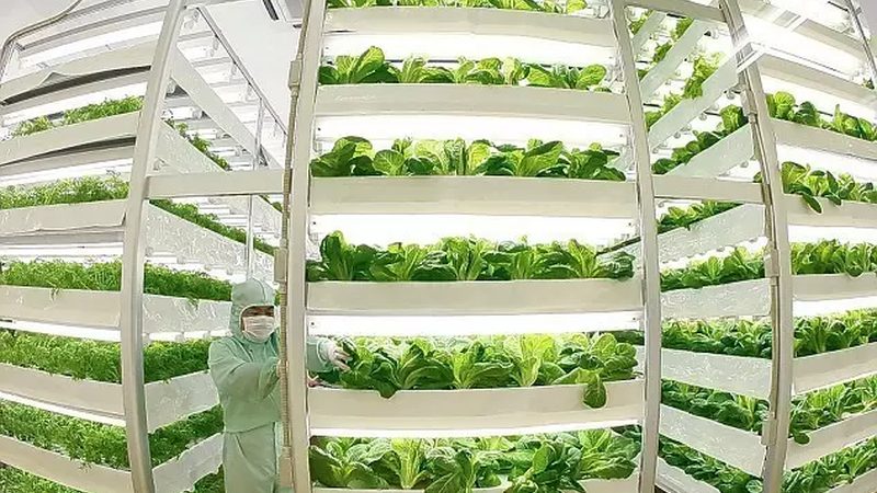 水肥一体化滴灌：现代农业的精准灌溉利器**