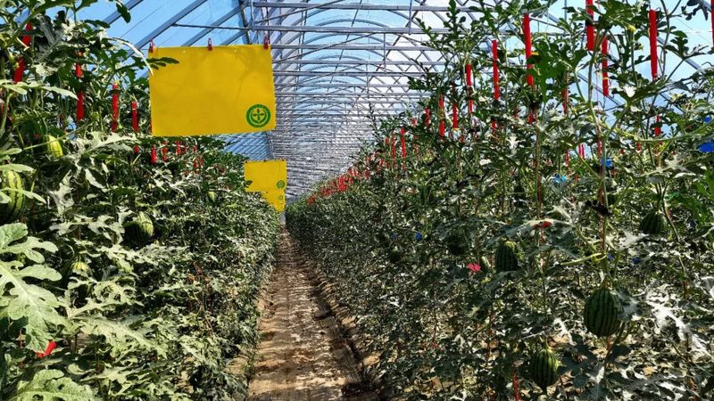 家庭农场主必备：种植技术设备选购的三大误区解析