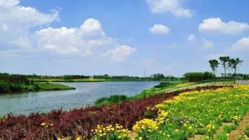 蔬菜配送，价格波动背后的市场逻辑**