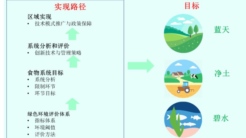 品种选择：如何根据种植项目特性精准选种**
