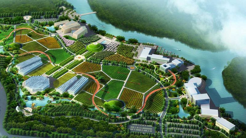 农产品电商平台服务规范：构建安全、高效的交易环境