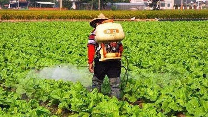 农产品线上线下融合：新趋势下的机遇与挑战**