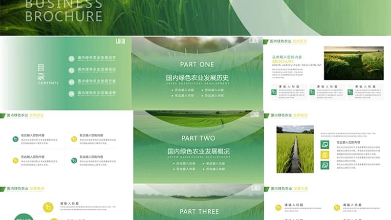 有机蔬菜批发价格为何没有统一标准